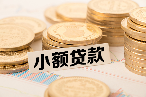 东莞寮步镇小额贷款当天放款-东莞寮步镇哪里可以信用贷款-东莞寮步镇民间借贷